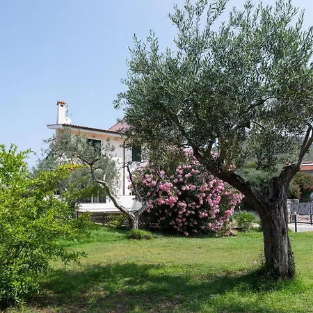 Willa Minerva Sperlongaresort